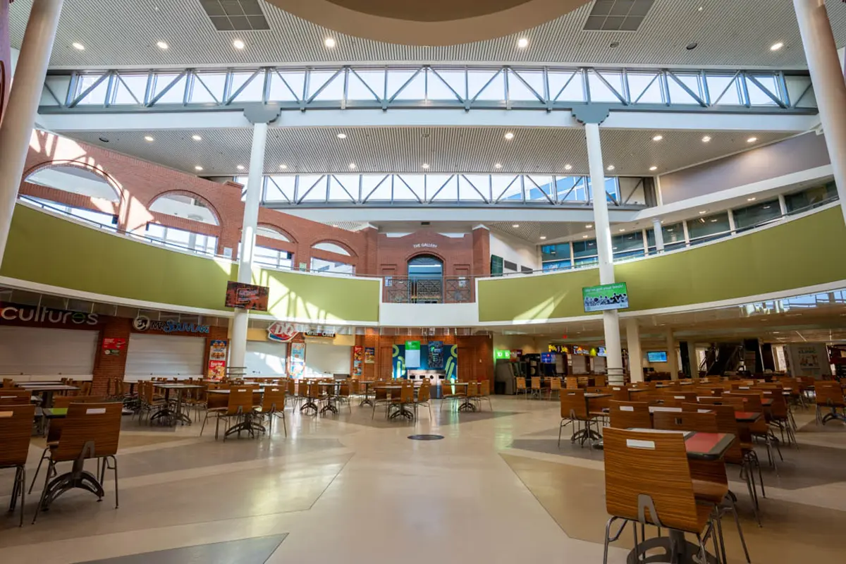 wyckham bowl top view